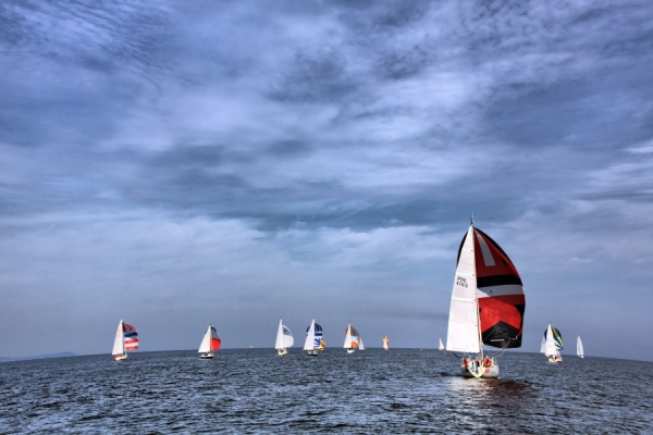 XV Regaty Unity Line